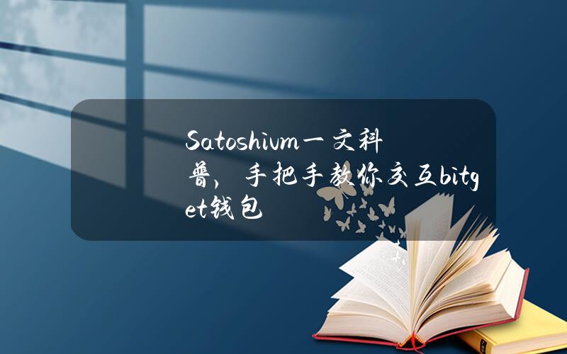 Satoshivm一文科普，手把手教你交互(bitget钱包)