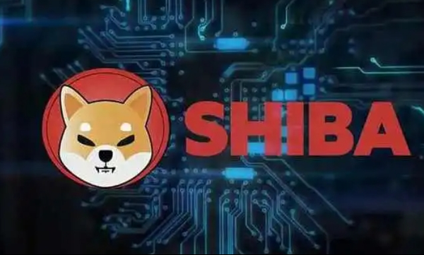   shib怎么买教程?Bitget带你全新了解